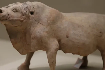 Who Made Ox Alpha? the Mystery AI Is Turning Heads in Silicon Valley.