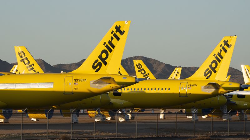 Google is buying all of Spirit Airlines’ data to feed its AI models
