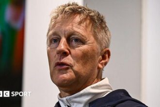 Republic of Ireland: Hallgrimsson accused of ‘ignorance, hypocrisy and stupidity’