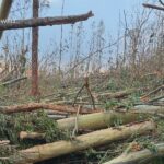 Cut off by Hurricane Lowell, Kauai man worries about water for 60 cattle