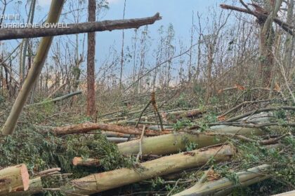 Cut off by Hurricane Lowell, Kauai man worries about water for 60 cattle