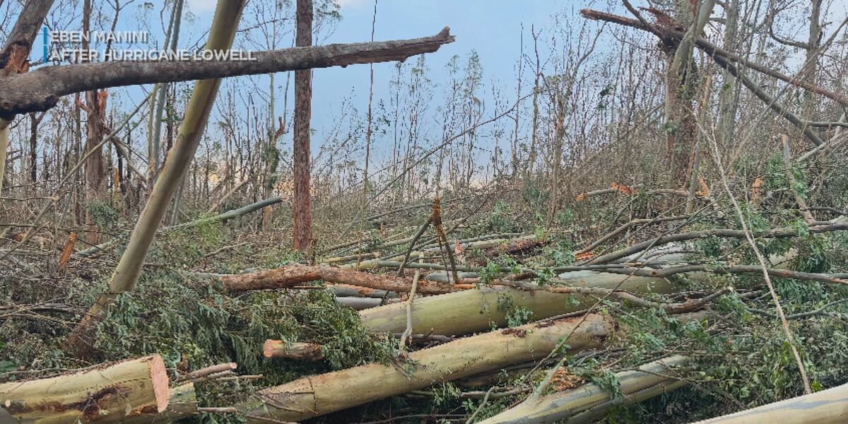 Cut off by Hurricane Lowell, Kauai man worries about water for 60 cattle