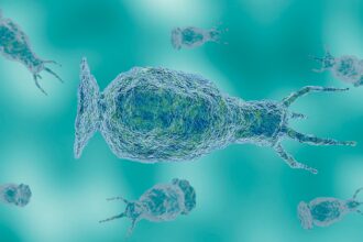 Teen who died from brain-eating amoeba likely infected from community center water feature: Officials