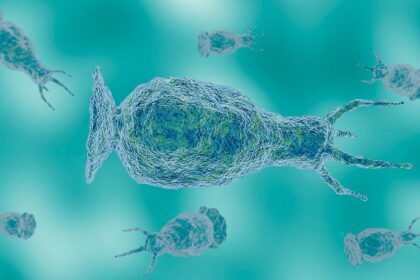 Teen who died from brain-eating amoeba likely infected from community center water feature: Officials