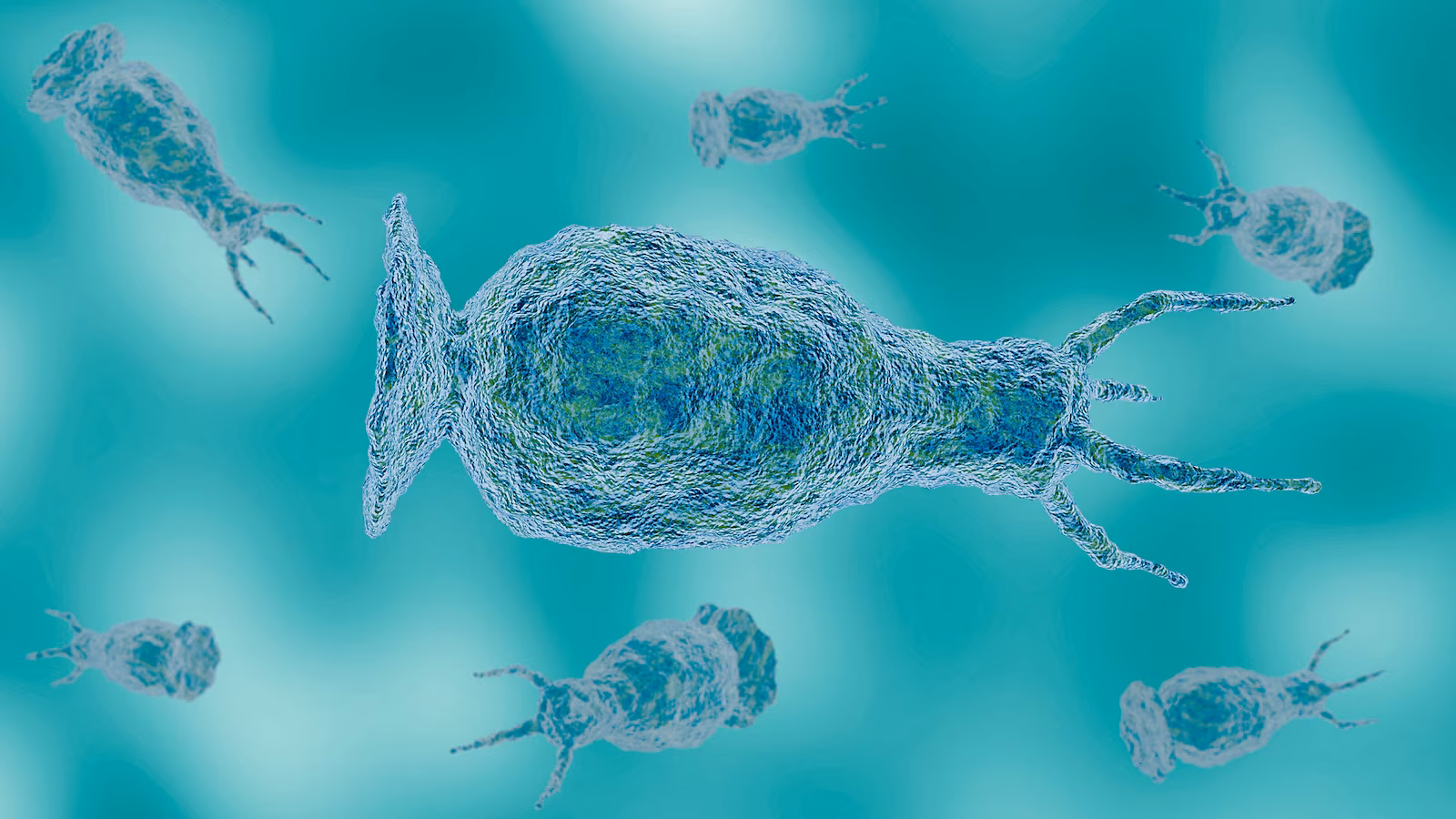 Teen who died from brain-eating amoeba likely infected from community center water feature: Officials