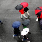 Clima en Estados Unidos: tormentas y riesgo de inundaciones este martes 22 de septiembre | N+ Univision Meteorología Clima en Estados Unidos: tormentas y riesgo de inundaciones este martes 22 de septiembre | N+ Univision Meteorología