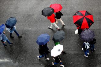 Clima en Estados Unidos: tormentas y riesgo de inundaciones este martes 22 de septiembre | N+ Univision Meteorología Clima en Estados Unidos: tormentas y riesgo de inundaciones este martes 22 de septiembre | N+ Univision Meteorología