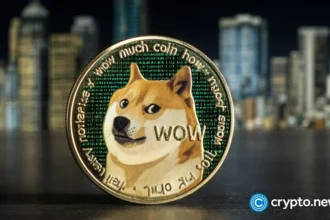 Bitwise is closing its dogecoin ETF. Access was never the problem