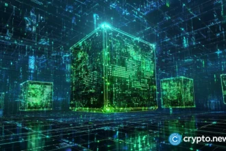 MultiversX investigates potential mainnet issue