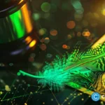 Robinhood Chain vs Solana: two months in, who is winning?