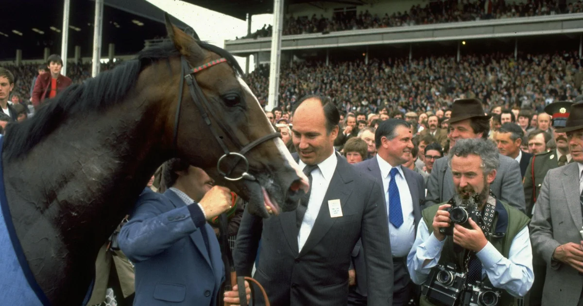 60 Minutes Transcript: Shergar, a missing horse, an enduring sports mystery 60 Minutes Transcript: Shergar, a missing horse, an enduring sports mystery