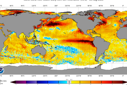 El Niño is now stronger than at any point in the last 1,000 years, study finds
